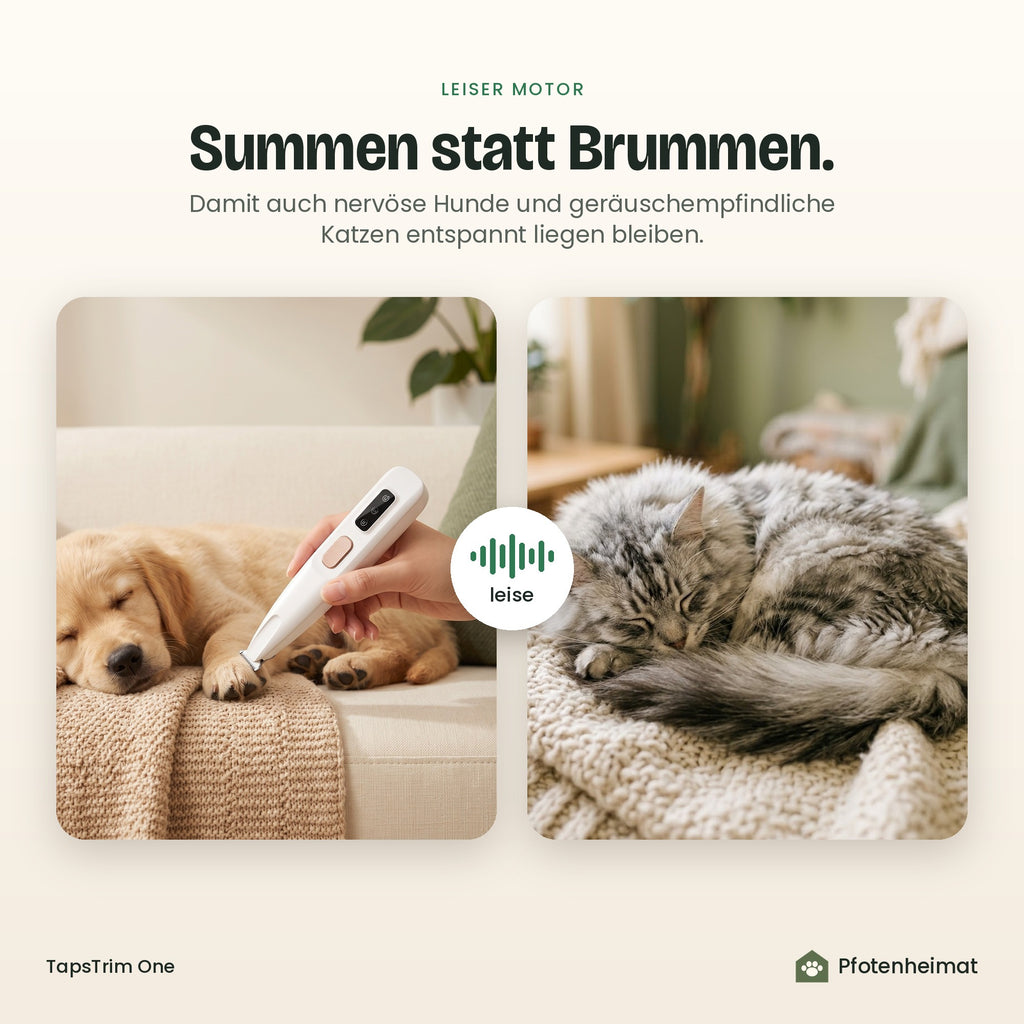 Leiser Motor – Summen statt Brummen, für nervöse Hunde und Katzen