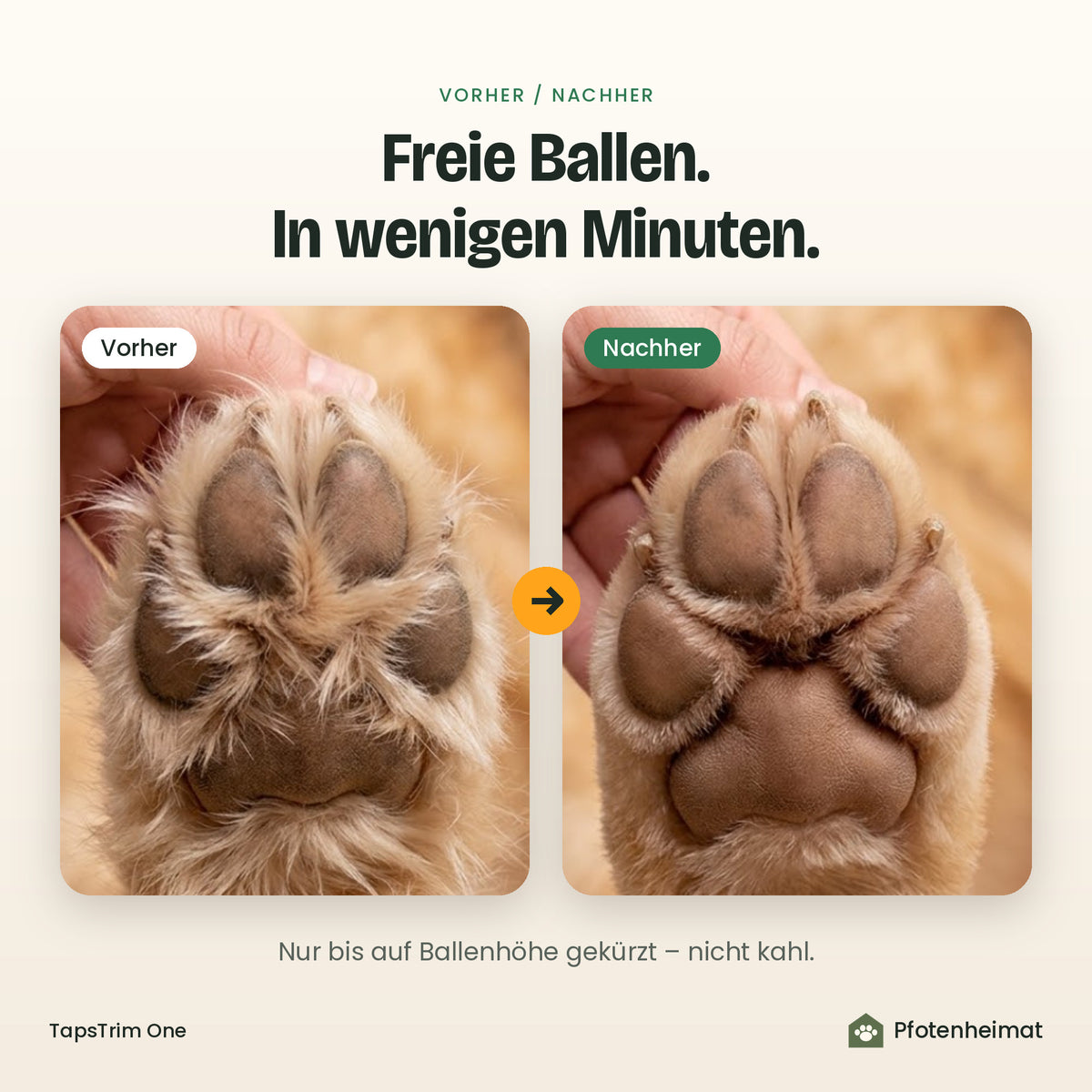 Pfote vorher und nachher – Fell bis auf Ballenhöhe gekürzt
